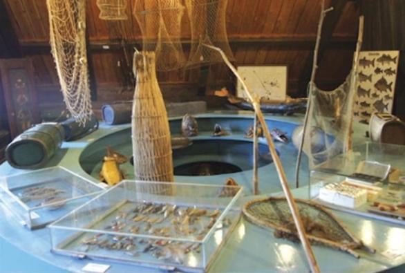 Halászmúzeum